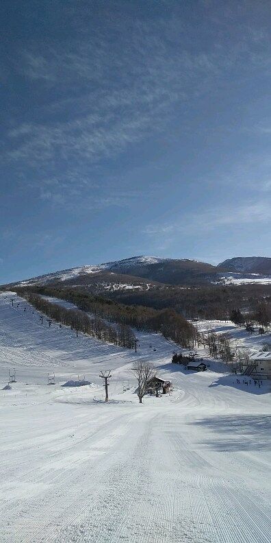 公式】菅平高原奥ダボススノーパーク｜長野県上田市のスキー場